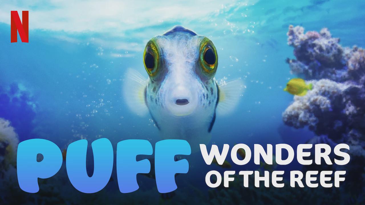 Puff: Wonders of the Reef